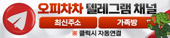 오피차차 텔레그램 입장